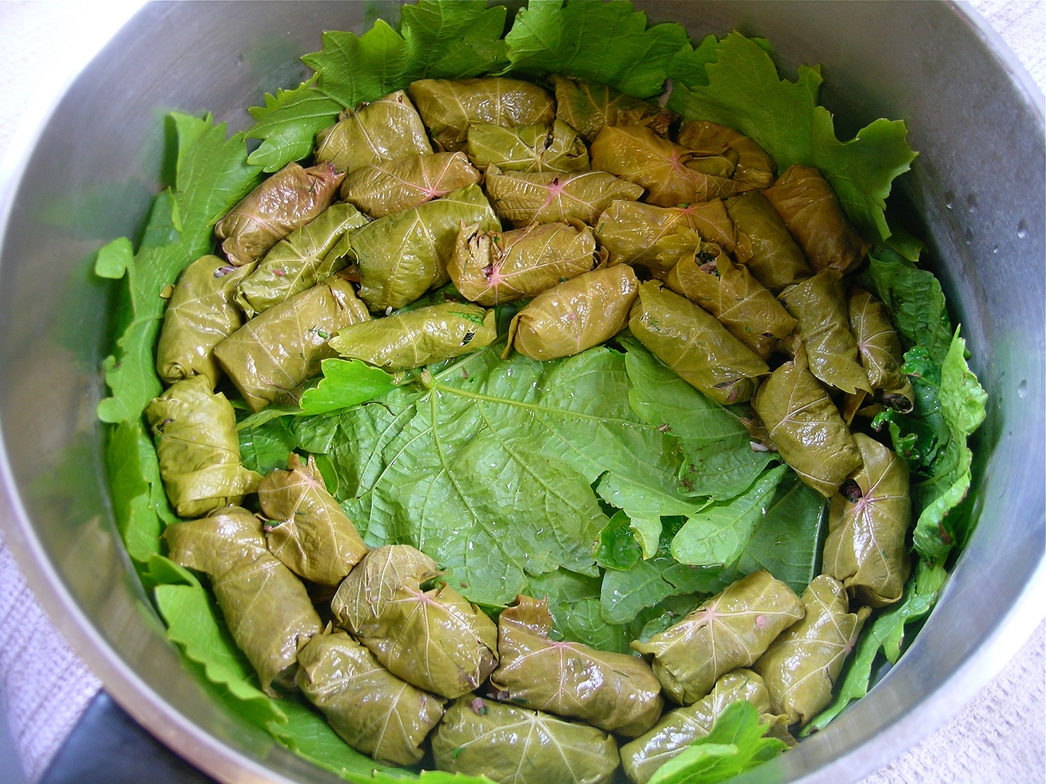 Dolmadakia, Gefüllte Weinblätter