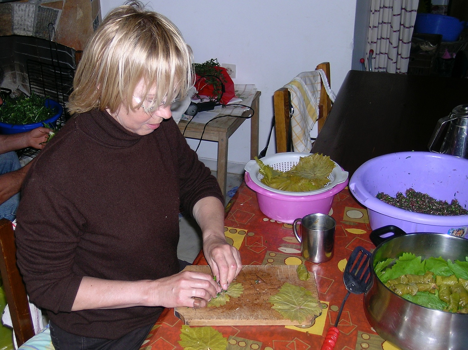 Dolmadakia, Gefüllte Weinblätter