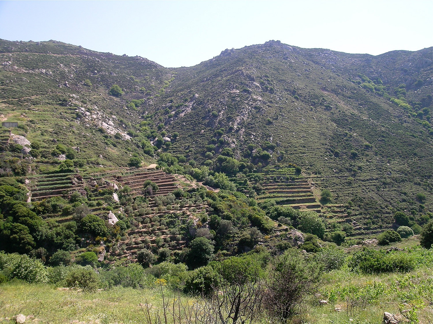 Landschaft Naxos