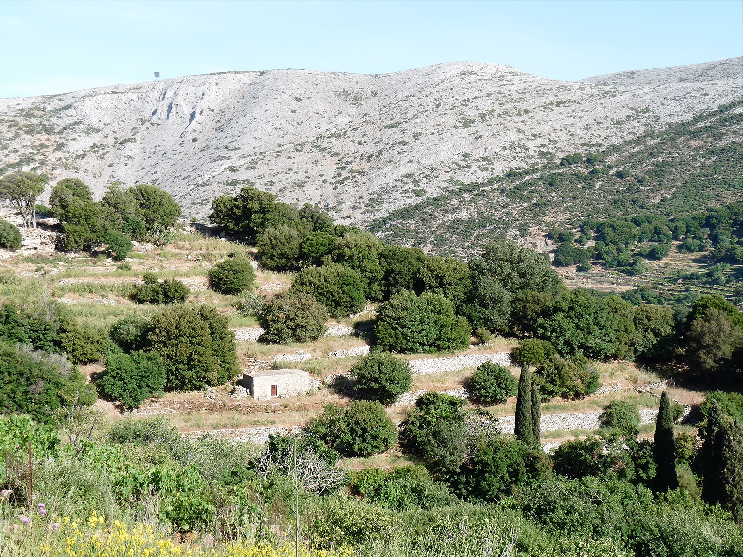 Landschaft Naxos