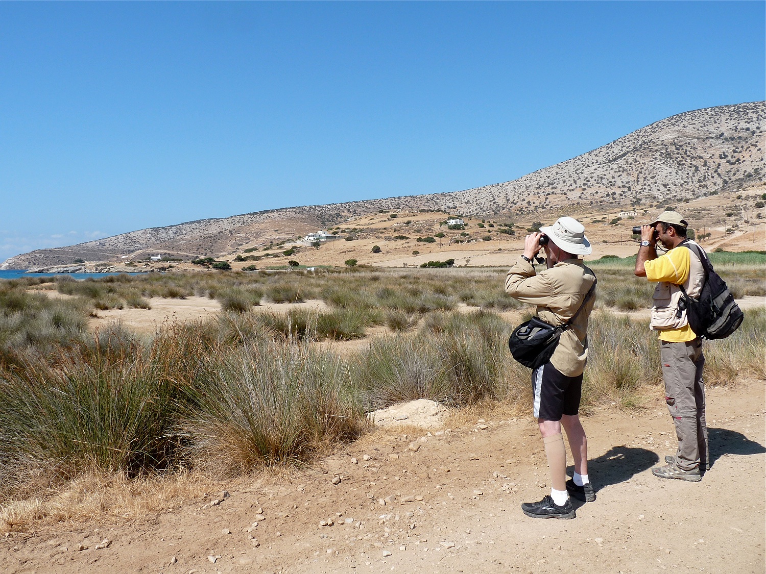 Vögelbeobachten in Kalandos Naxos