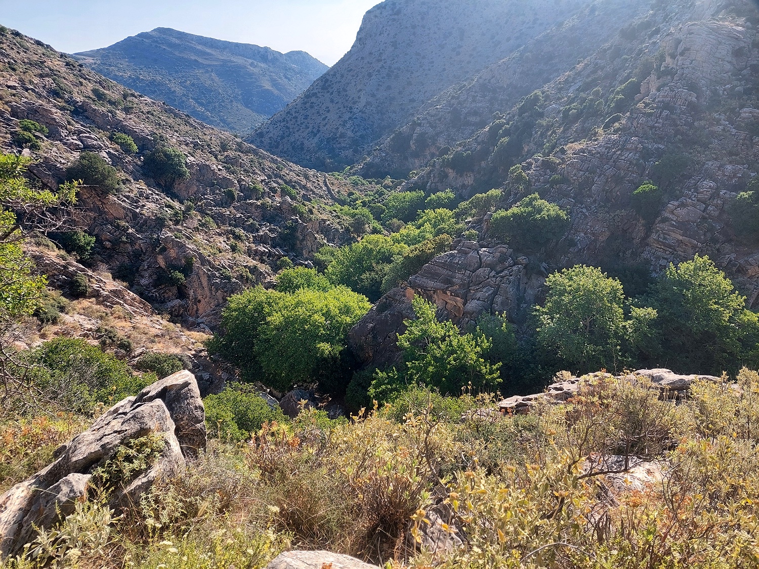 zwischen Koronos und Lionas, Naxos