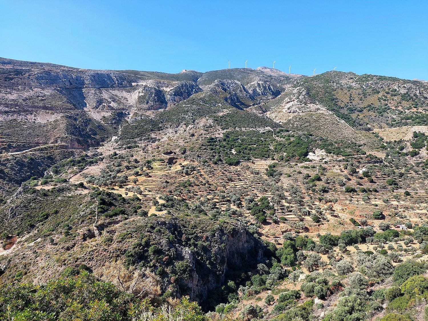 zwischen Koronos und Lionas, Naxos
