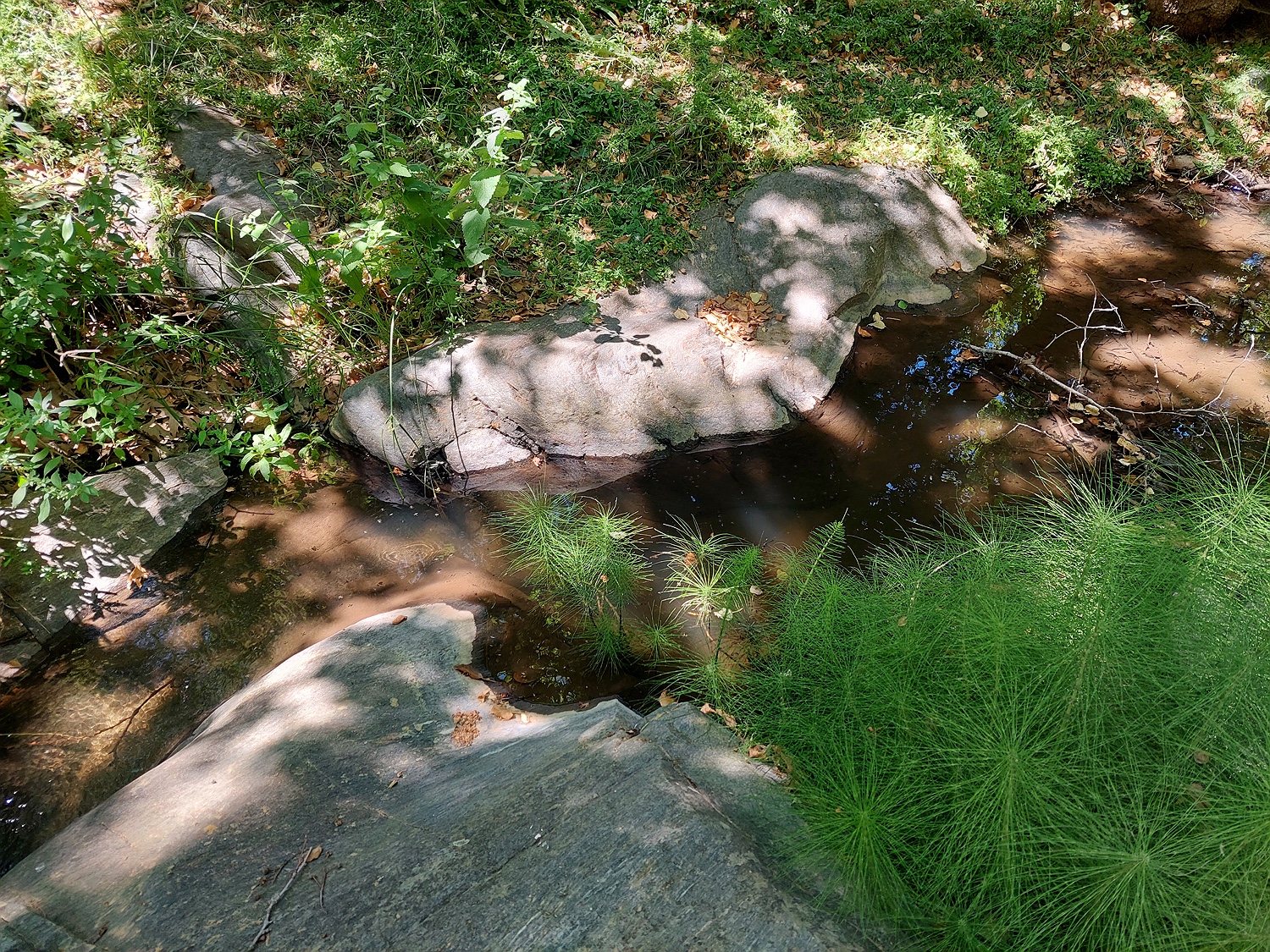 Flusslauf bei Komiaki, Naxos