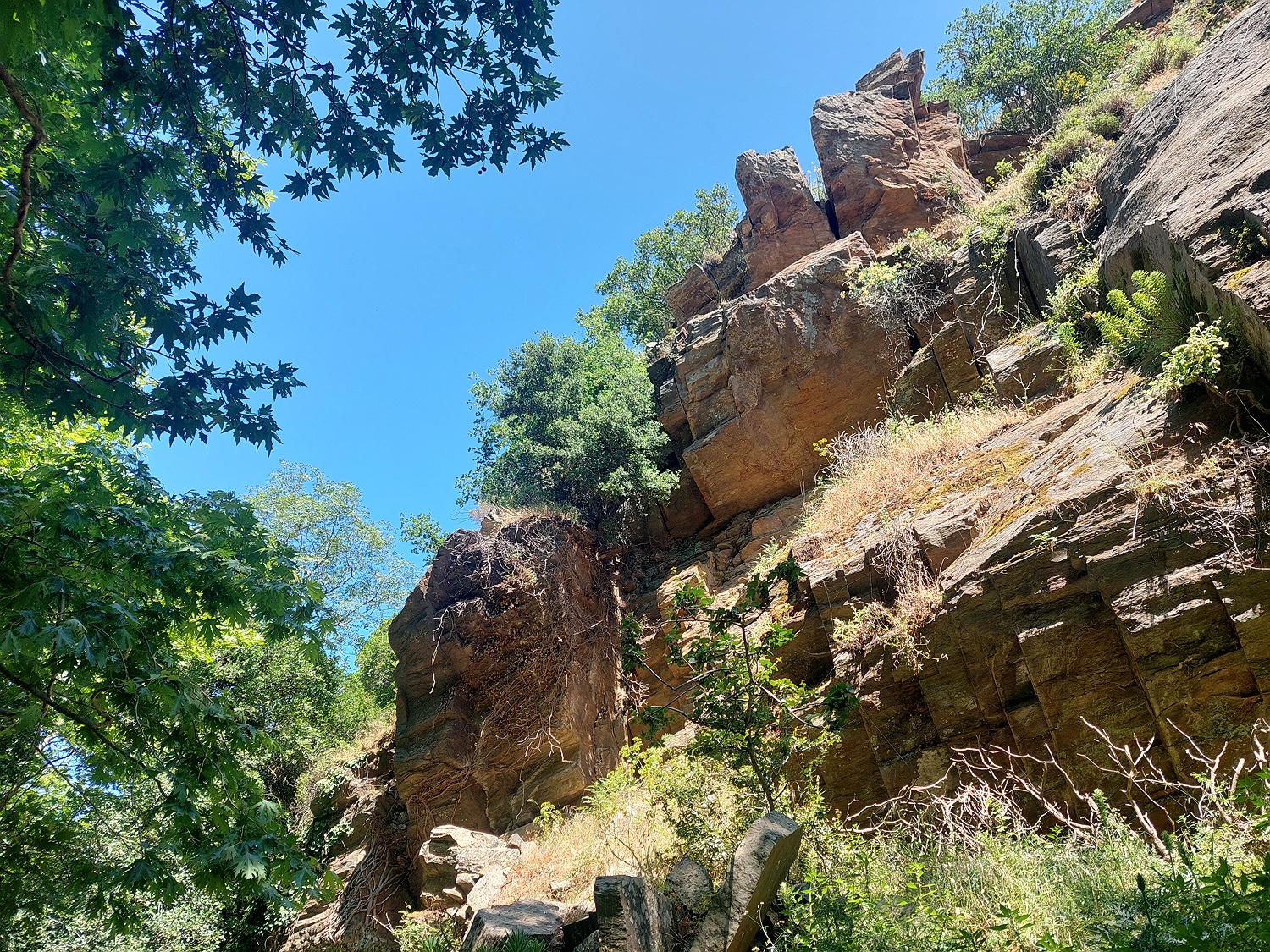 im Wald bei Komiaki, Naxos