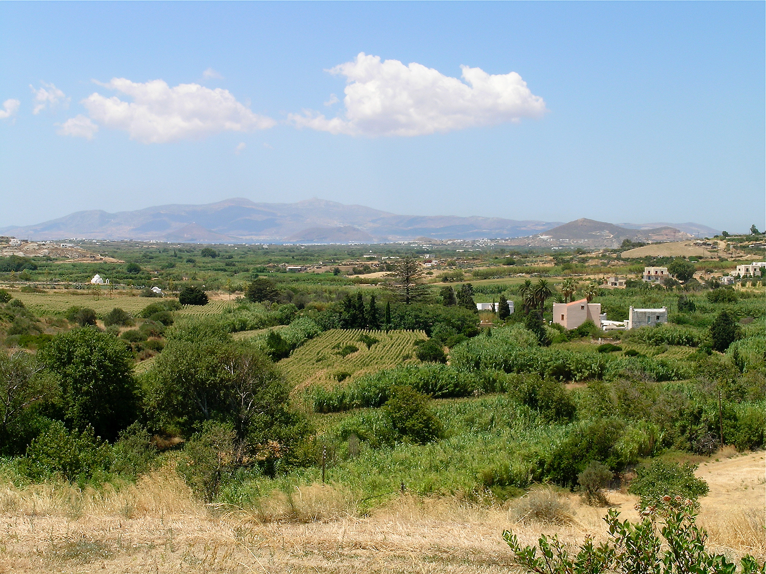 Livadia Naxos